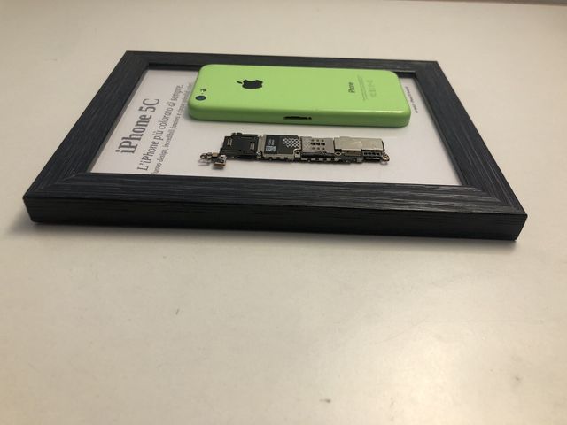 iPhone 5C Green A1532 Disassemblato e Incorniciato