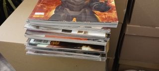Miedo Encarnado. Marvel Panini Saga