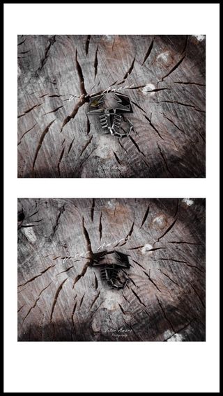 2 Símbolos/Logos em Alumínio Fiat Abarth (2 Cores)