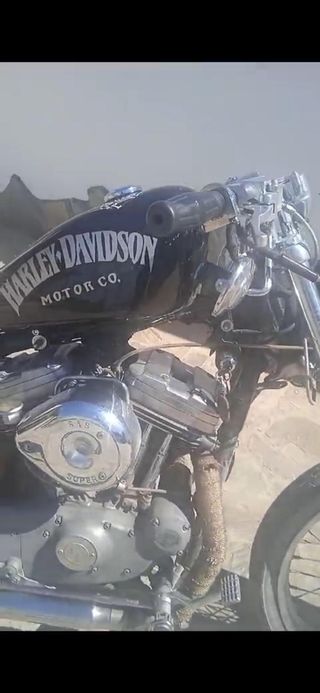 Harley Davidson 883