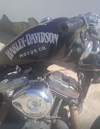 Harley Davidson 883