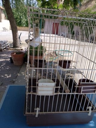 Jaula pajaros grande Dorada y marrón