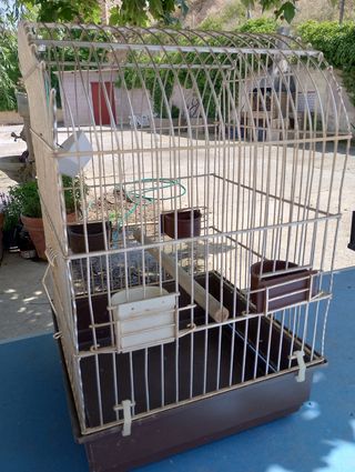 Jaula pajaros grande Dorada y marrón