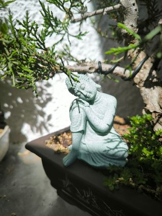 Coppia di statue di Buddha per la meditazione e il rilassamento zen. 