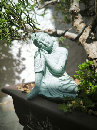 Coppia di statue di Buddha per la meditazione e il rilassamento zen. 