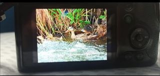 Panasonic Lumix FZ-72 - Fotocamera Bridge