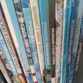 Coleccion libros Burgos variados temas