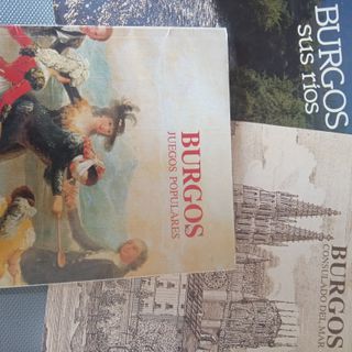 Coleccion libros Burgos variados temas