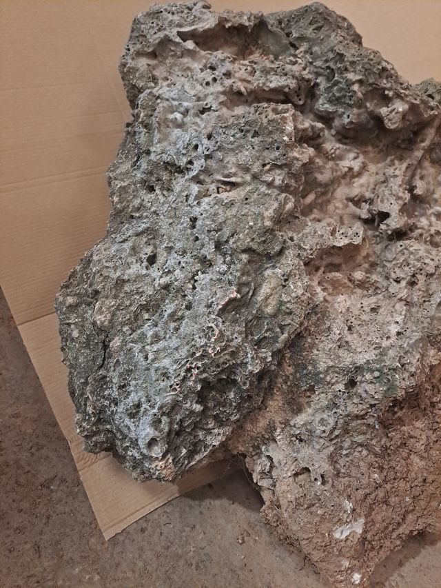 Roca decorativa cueva  posta dragón