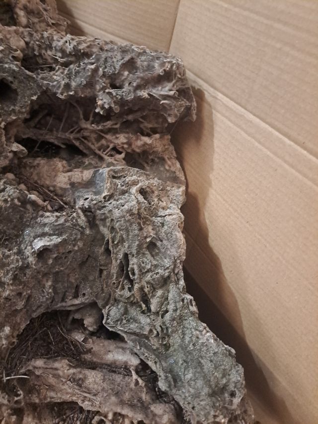 Roca decorativa cueva  posta dragón