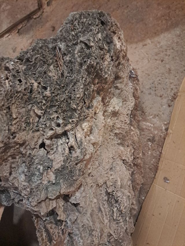 Roca decorativa cueva  posta dragón