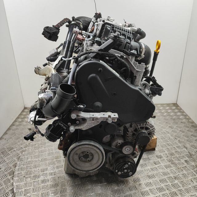 DNA Motor VW Transporter (T6) 2.0TDI 110KW