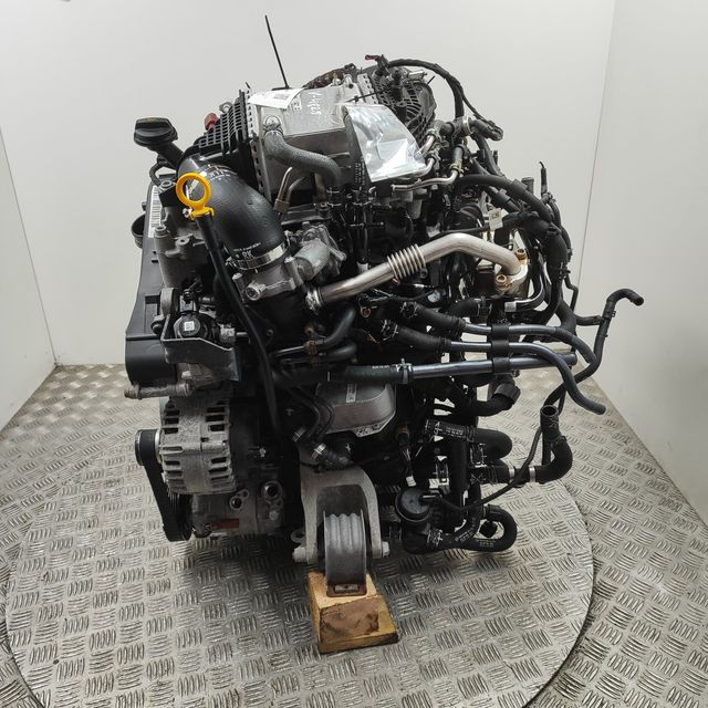 DNA Motor VW Transporter (T6) 2.0TDI 110KW