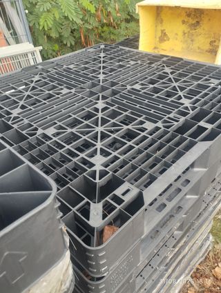 Palets plástico -