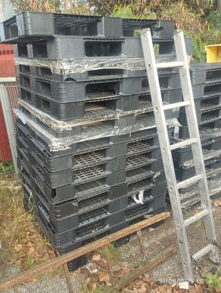 Palets plástico -
