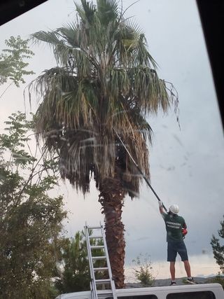 Jardinero poda altura y desbroce