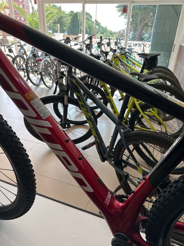 Cuadro carbono Coluer en talla M y L