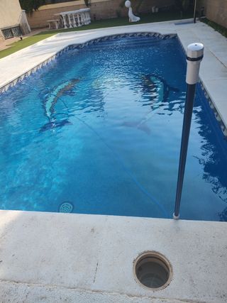 Mantenim. piscina y jardín