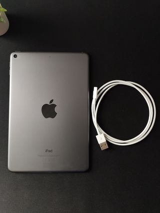 IPad mini 5 (wifi) 256GB