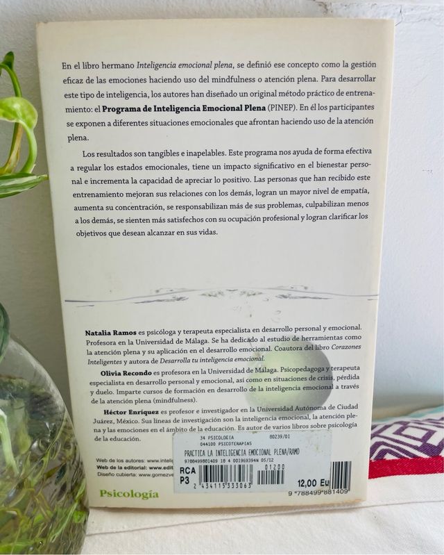 Practica la inteligencia emocional plena