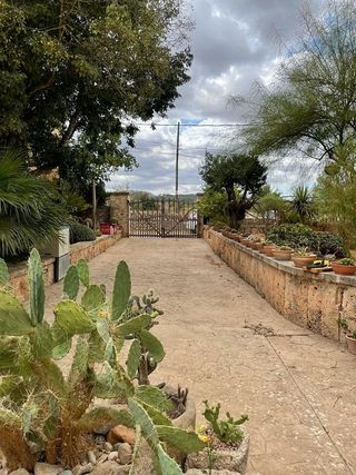 Chalet en alquiler en Algaida