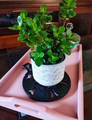 Salvamantel hierro fundido forja