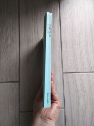 Libro di paolo Rumiz, il ciclope 