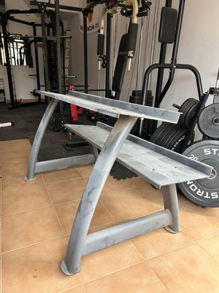 Mancuernero gimnasio profesional