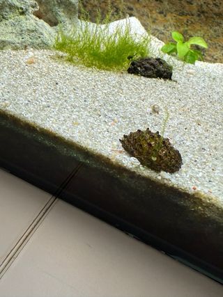Acuario/Gambario - Filtro exterior tetra