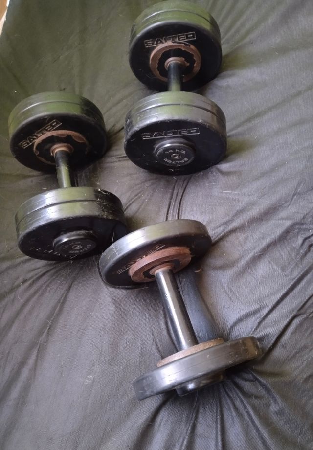 Conjunto Pesas Salter 2 de 14kg y 1 de 8kg