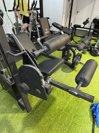 Máquina femoral sentada con pesas