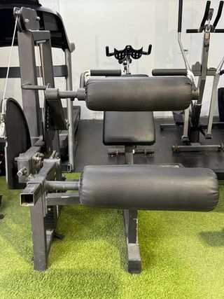Máquina femoral sentada con pesas