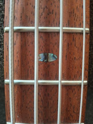 Bajo Ibanez + Amplificador Vox 10W