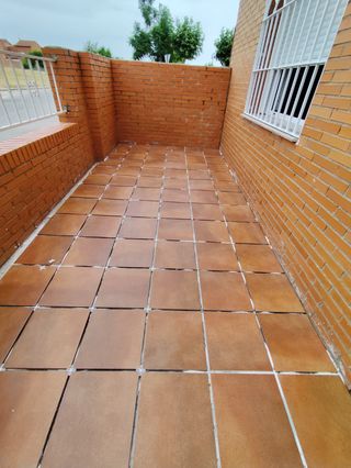 Albañil y pintor económico