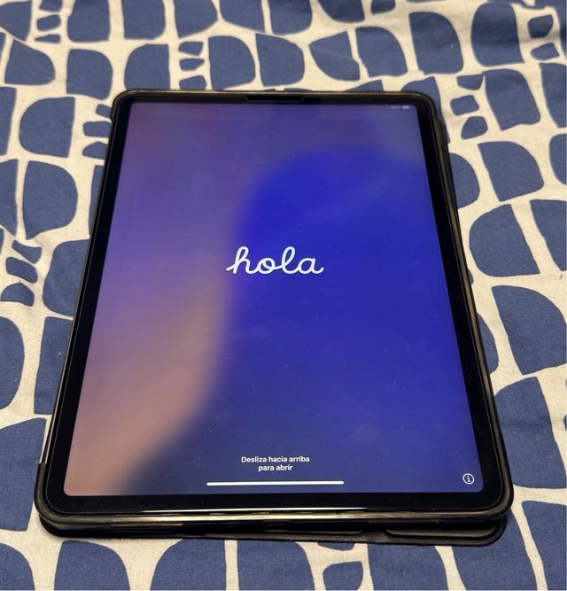 iPad Pro 11” de 256 gb wifi+LTE