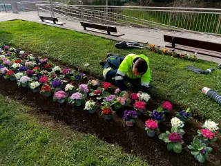 DESBROCE  JARDINES & TERRENOS