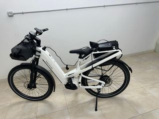Bicicletta elettrica Riese & Müller