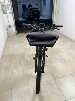 Bicicletta elettrica Riese & Müller