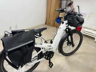 Bicicletta elettrica Riese & Müller