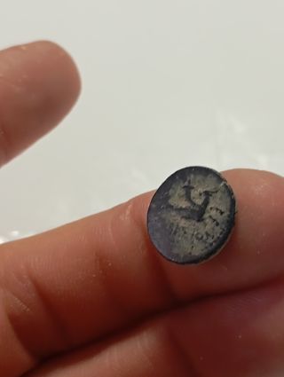 Moneda Romana Augusto Laodicea