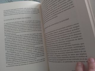 El cerebro: Descifrar y potenciar nuestro órgan...
