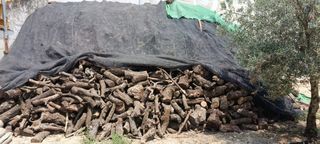 Leña Olivo Seca (negociable)