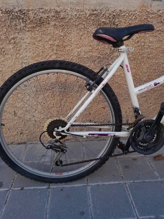 Bicicleta de montaña chica