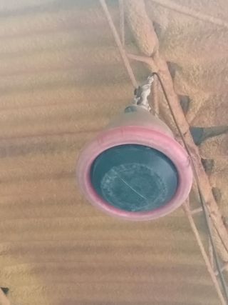 Comedero pollos - usado