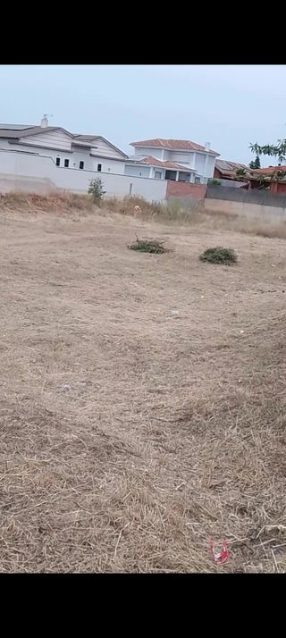 Desbrozadora: Desbroce de terrenos parcelas