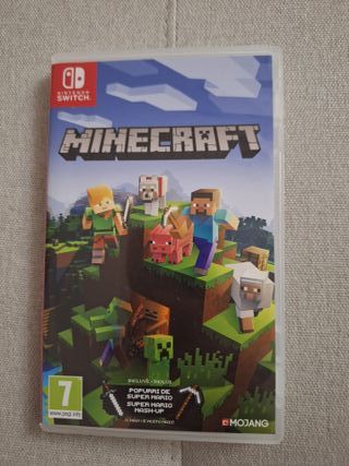 Minecraft Nintendo Switch