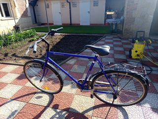 Bicicleta Camparello Madeira