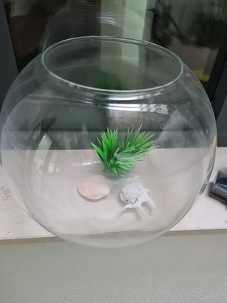 Pecera con filtro + comida peces es de unos 18l