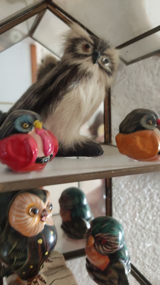 2 estanterías + colección buhos