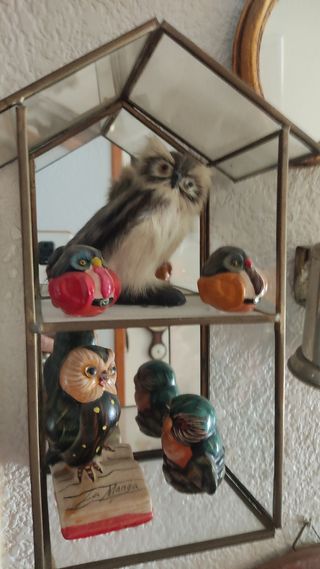 2 estanterías + colección buhos